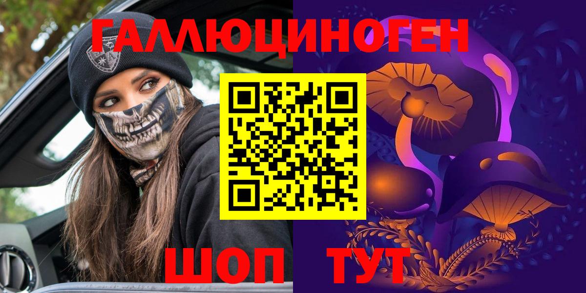 Псилоцибиновые грибы Psilocybine cubensis  Вход с VPN  Гай 